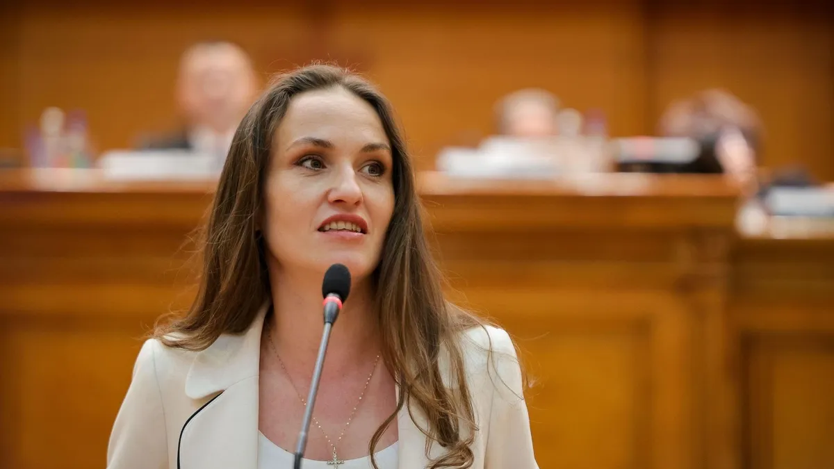 USR nu va susține impozitarea progresivă (sursa: Facebook/Oana Țoiu)