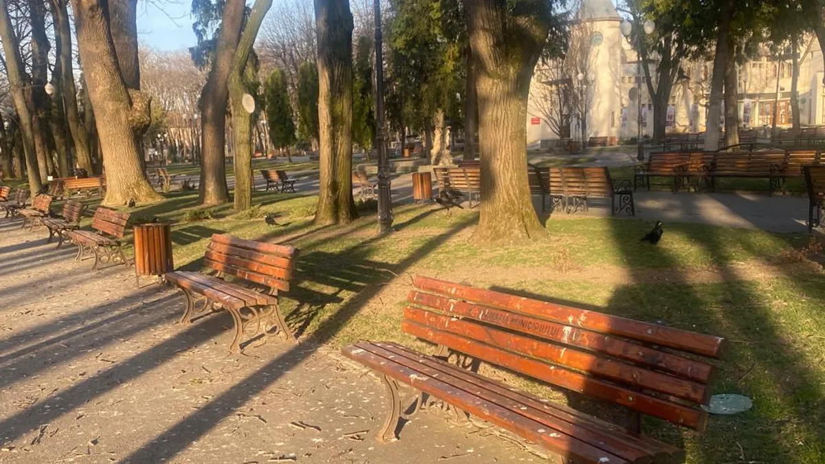 Ciorile au pus stăpânire pe Copou (sursa: ziaruldeiasi.ro)