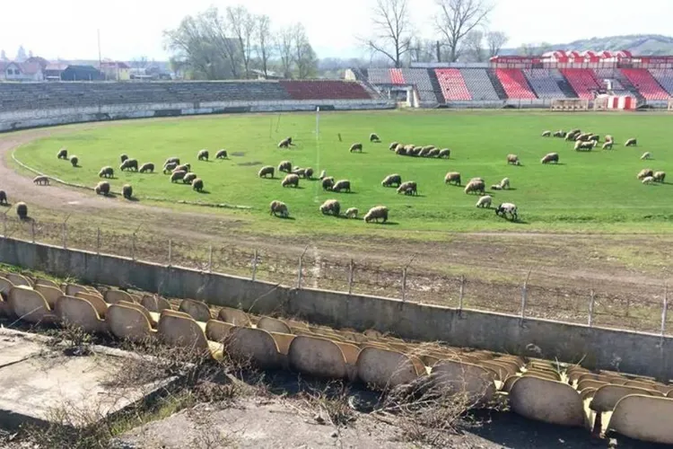 Guvernul investește masiv în stadioane Foto: GSP