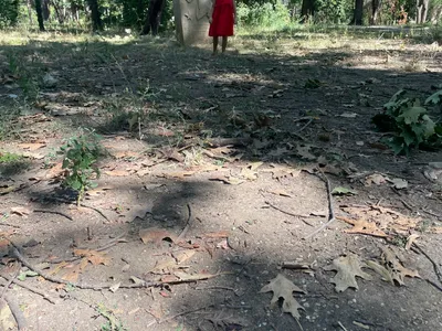 Parcul Herăstrău, un maidan prăfuit, abandonat (sursa: defapt.ro)