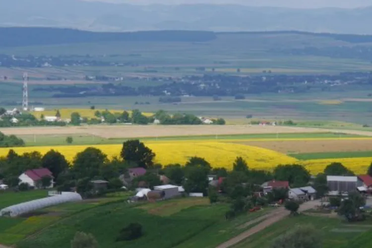 Moldova, codașă la colectarea impozitelor (sursa: ziaruldeiasi.ro)