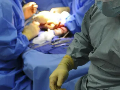 Rinichi, transplantat independent de grupa sanguină (sursa: Pexels/Pixabay)