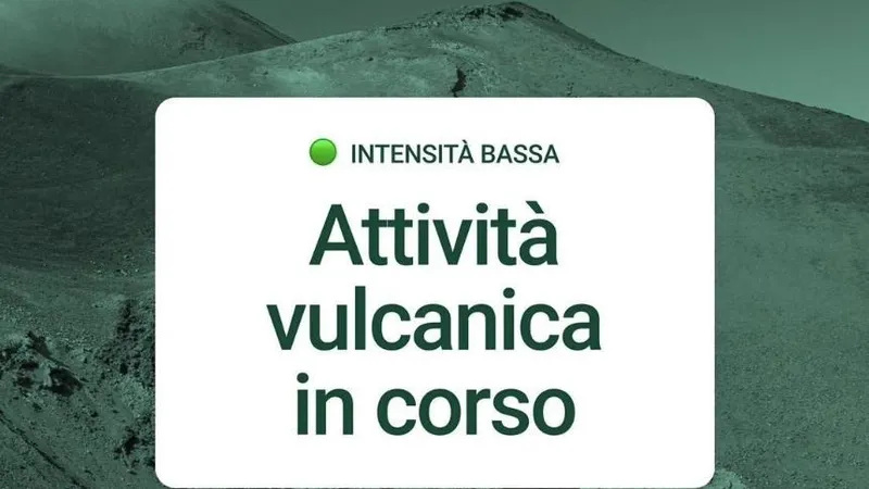 Etna erupe, zboruri perturbate către Catania (sursa: Facebook/Aeroporto di Catania-Sicilia)