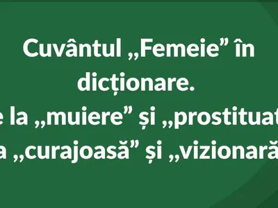 DEX definește „femeie” prin termeni ofensatori (sursa: Facebook/World Vision Romania)
