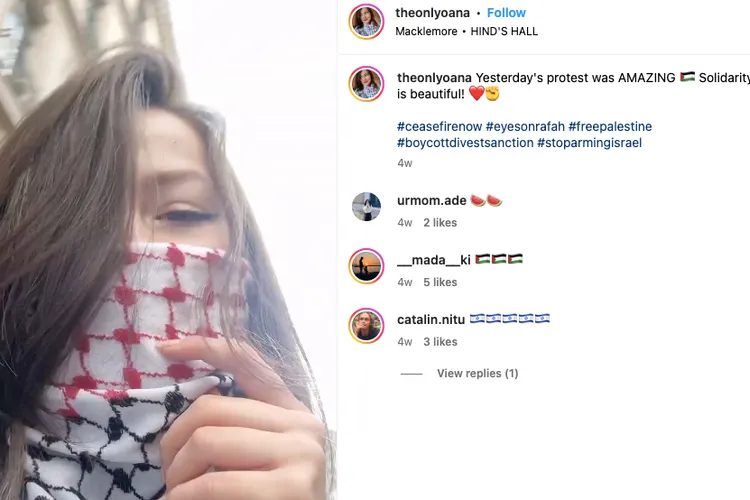 Fiica Elenei Lasconi, activistă pro-Palestina (sursa: Instagram/theonlyoana)