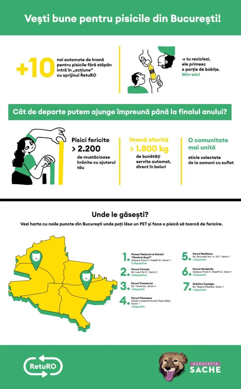 Asociația Sache și RetuRO hrănesc pisicile comunitare (sursa: RetuRO)