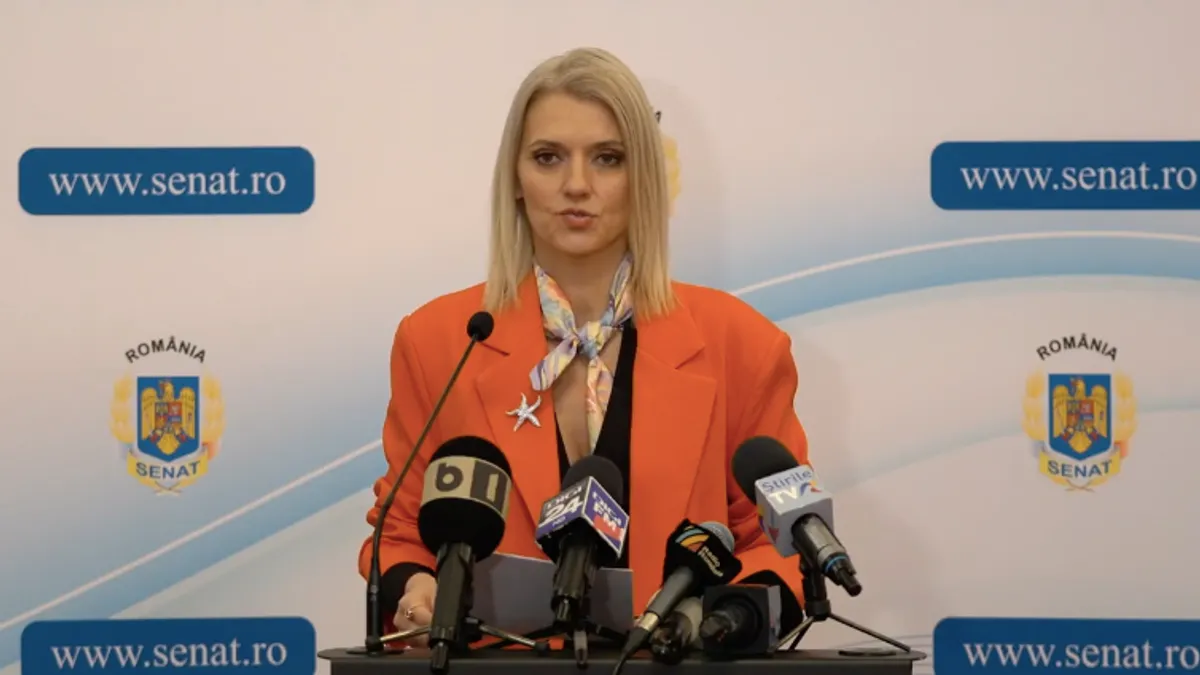 Senatul încearcă să justifice achiziția limuzinelor (sursa: Facebook/Alina Gorghiu)