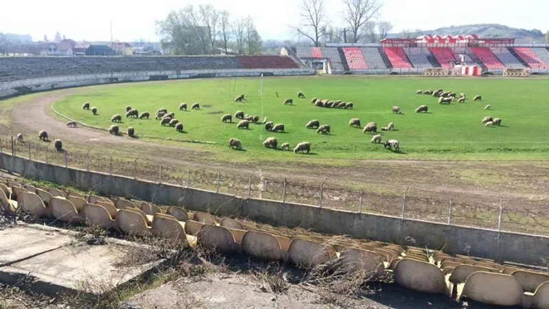 Guvernul investește masiv în stadioane Foto: GSP