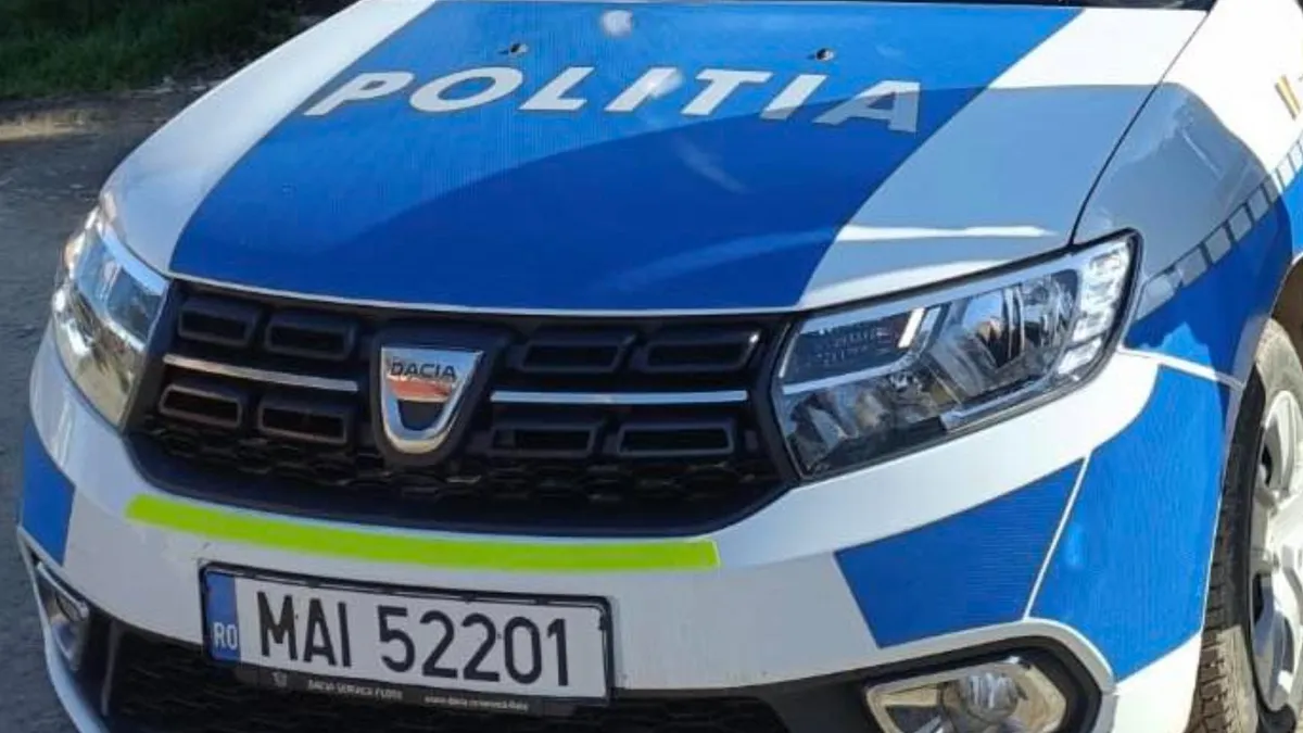 Șoferiță octogenară, prinsă băută la volan (sursa: Facebook/Poliția Română)