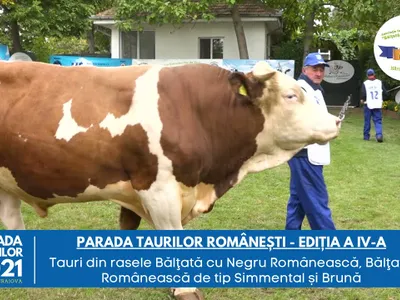 Ce cadou surprinzător i-a făcut Ștefănescu lui Simion Foto: captură YouTube