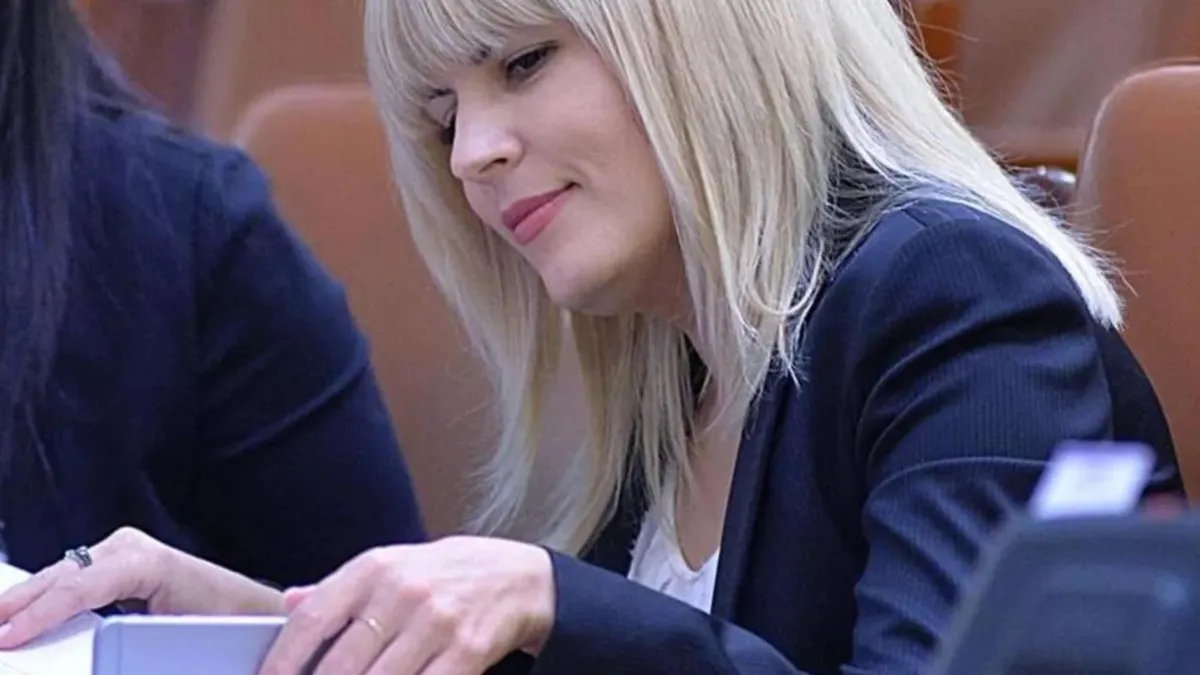 DNA a contestat eliberarea Elenei Udrea (sursa: Facebook/Elena Udrea)