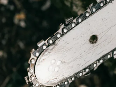 Beat, s-a apucat de tăiat cu drujba copaci din pădure. Nici măcar nu voia să-i fure (sursa: Pexels/Karola G)