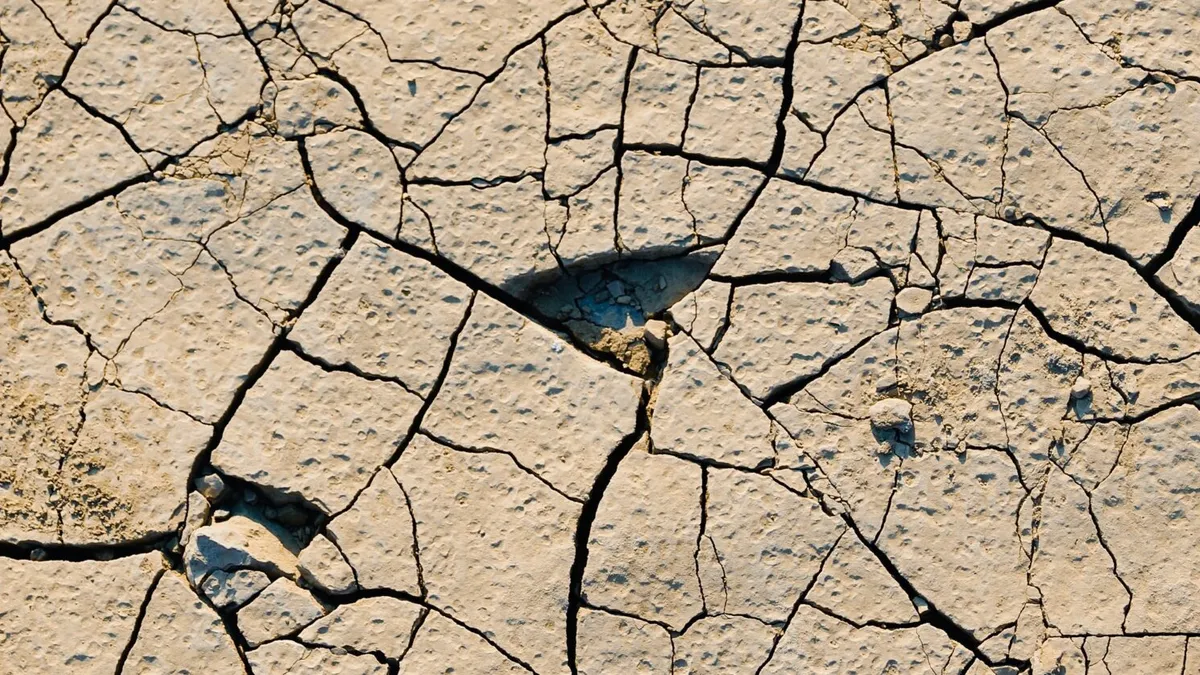 Schimbările climatice, principala cauză a „secetei devastatoare” Foto: World Weather Attribution