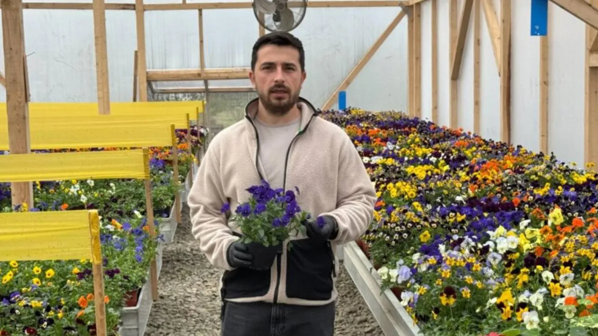 Florile comestibile, afacerera unui antreprenor ieșean (sursa: ziaruldeiasi.ro)