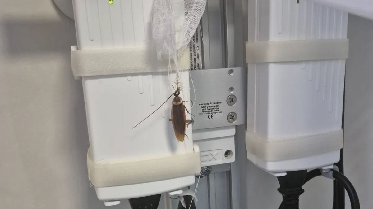 Acuzații privind condițiile din Spitalul Floreasca (sursa: Facebook/Alina Alexandru)