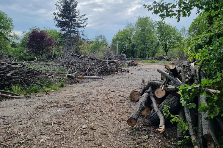 Opt europarlamentari vizitează pădurile din România Foto: Facebook Nicu Stefanuta