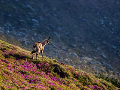 Dezastru în turism, în august, lună de vârf Foto: Facebook Romania Travel/Constantin Rotar