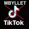 Albania blochează oficial accesul la TikTok (sursa: panorama.com.al)