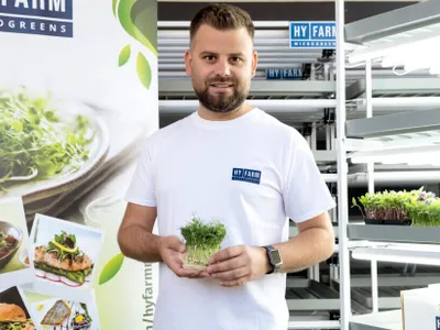Afacere cu microplante, un succes internațional (sursa: ziaruldeiasi.ro)