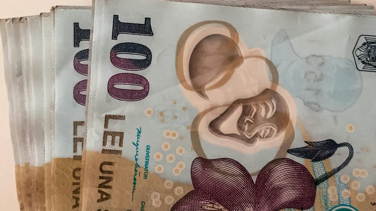 Peste 21.000 de euro pentru fiecare angajat, despăgubiri în caz de insolvență, propune Ministerul Muncii (sursa: Pexels/Diana)