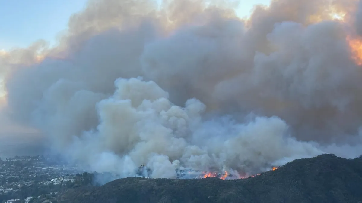 Incendiile din Los Angeles, pagube masive (sursa: Facebook/The White House)