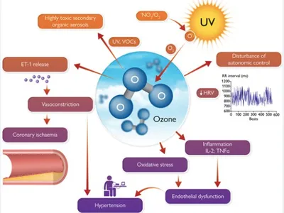 Poluarea cu ozon, creșterea afecțiunilor cardiace (sursa: European Heart Journal)