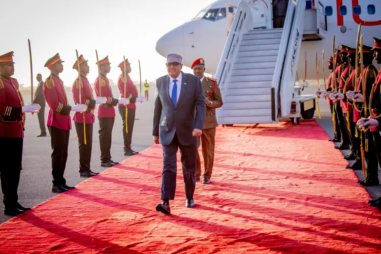 Somaliland oferă SUA acces la minerale rare (sursa: X/Presidency/Republic of Somaliland)