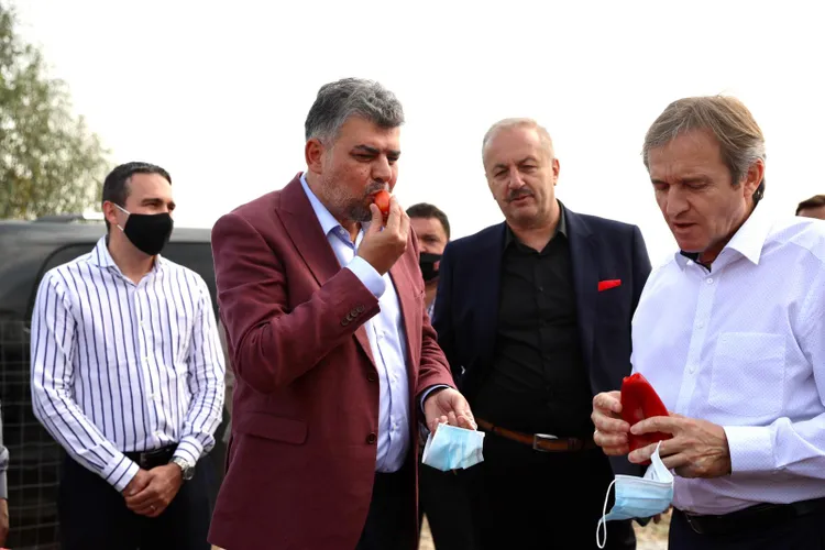 România a importat roșii de 166 milioane euro, în 2024 Foto: Facebook