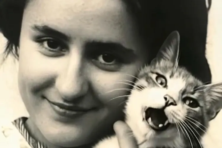 Motanul Zeppelin, reînviat prin tehnologie AI (sursa: ziaruldeiasi.ro)