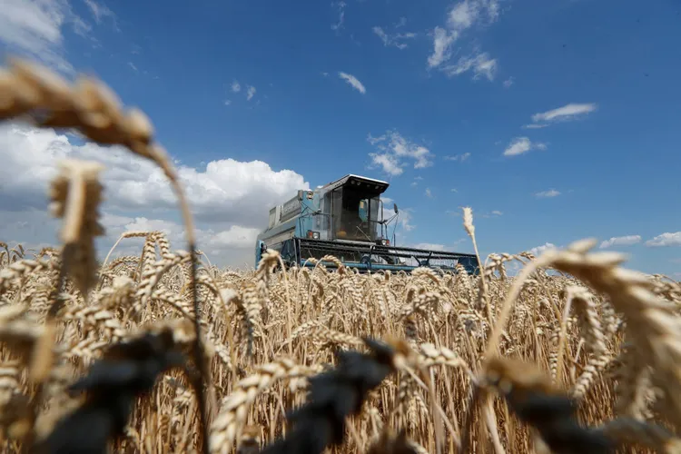 Ucraina: Au fost stabilite două rute prin Polonia și România pentru exportul cerealelor Foto: Twitter