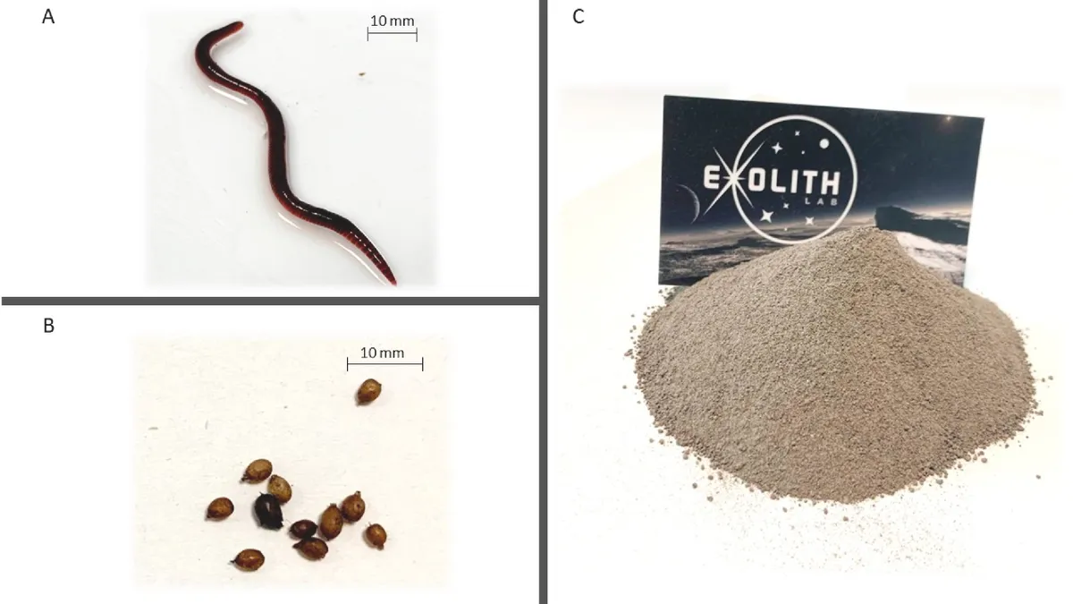 Viermii de bălegar vor coloniza luna (sursa: sciencedirect.com)