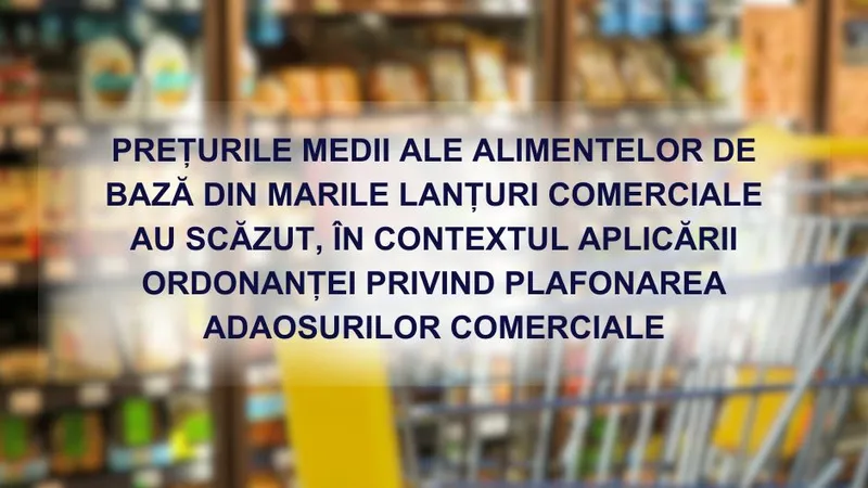 Consiliul Concurenței susține că preţurile alimentelor au scăzut cu 34% Foto: Consiliul Concurenței