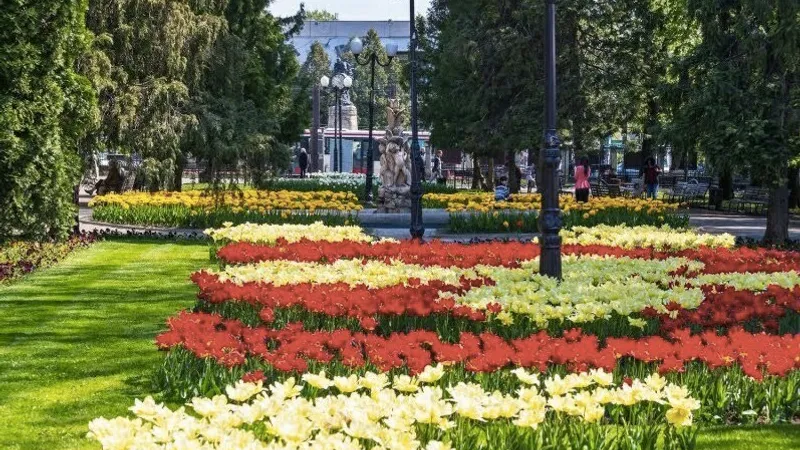 Iași Brașov sau Târgoviște (sursa: ziaruldeiasi.ro)