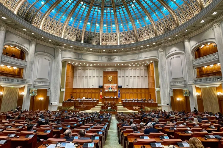 Un deputat AUR l-a jignit pe reprezentantul minorității germane (sursă: Facebook/camera Deputaților)