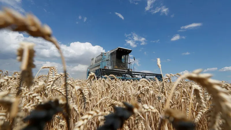 Ucraina: Au fost stabilite două rute prin Polonia și România pentru exportul cerealelor Foto: Twitter