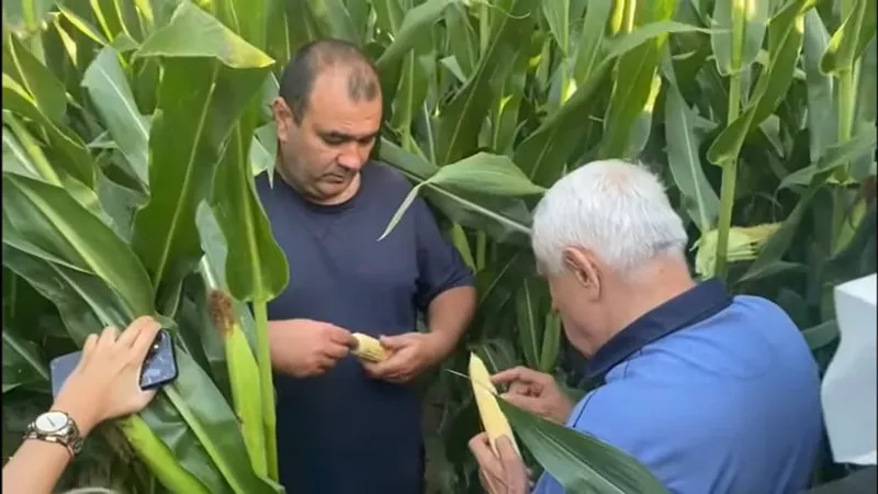 Încă un pensionar special în Guvern: Petre Daea Foto: captură YouTube