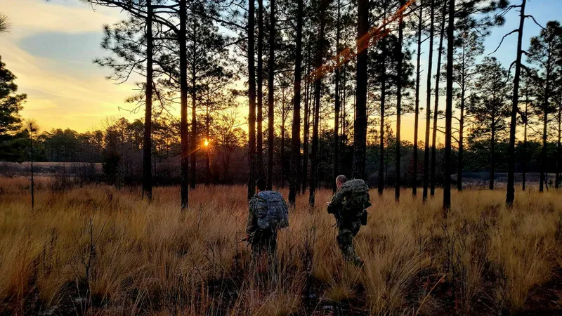 Pentagonul cere bani pentru operațiuni ultrasecrete în Ucraina Foto: U.S. Army Special Operations Command