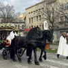 Rămășițele domnitorului Grigore Alexandru Ghica, fără mormânt la Iași (sursa: ziaruldeiasi.ro)