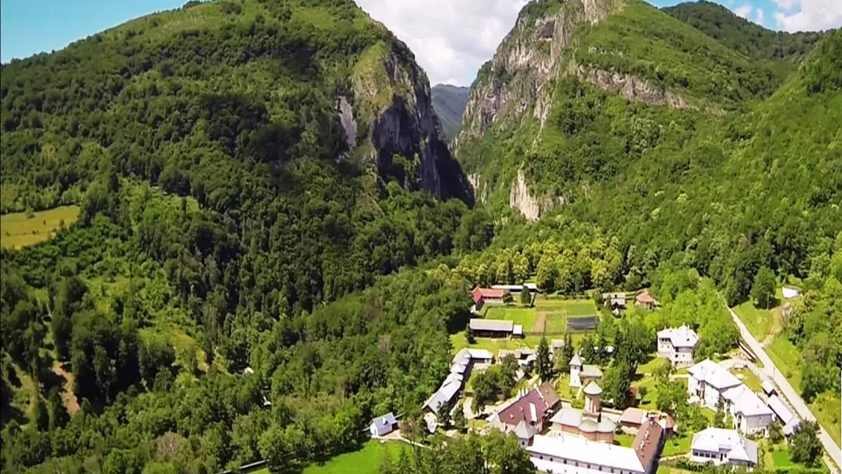 Cum dispar copacii din pădurea Polovragi (sursa: Facebook/Comuna Polovragi, Gorj)