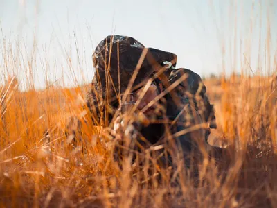 Mossadul a început să coopereze cu Ucraina Foto: Israel Defence Forces