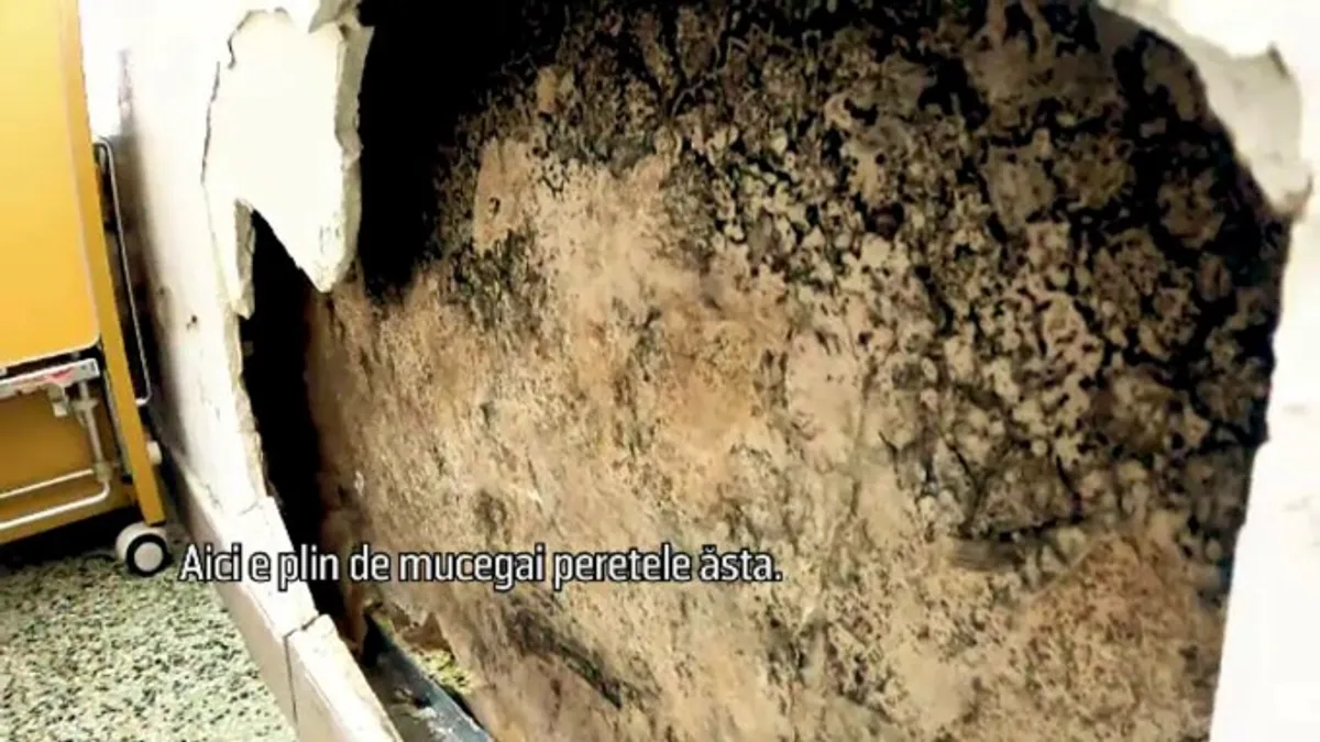 Imagini șocante la Spitalul Județean Neamț Foto: Pro TV