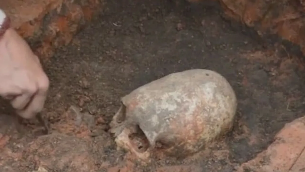 800 de schelete îngropate la Universitate (sursa: ziaruldeiasi.ro)