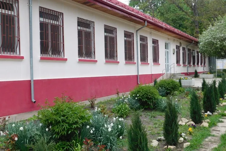 Rele tratamente aplicate pacienților de la Psihiatrie (sursa: ziaruldeiasi.ro)