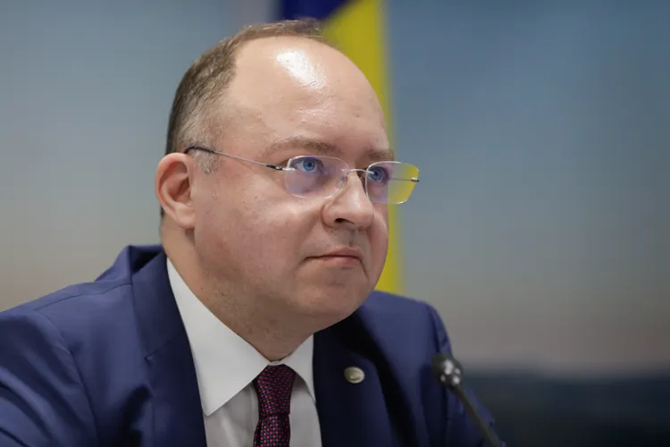 Soția ex-ministrului Aurescu, bani via PNL (sursa: Inquam Photos/George Călin)