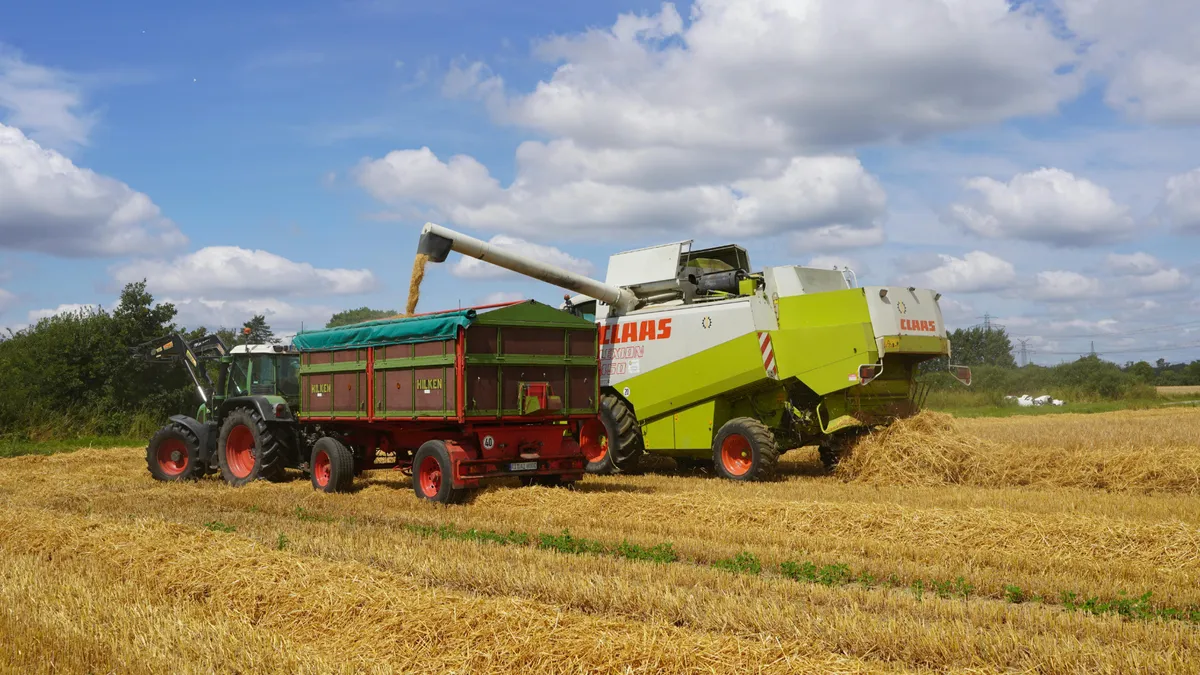 Comerțul cu cereale macină și firmele (sursa: Pexels/Wolfgang Weiser)