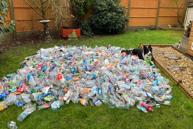 Colectarea deșeurilor de ambalaje, în colaps (sursa: Facebook/Clean Recycle SA)