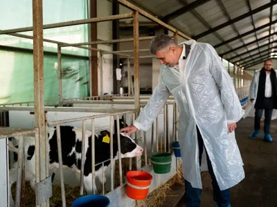 Ciolacu cere DNA-ului să-l ancheteze pe Bolojan Foto: Facebook