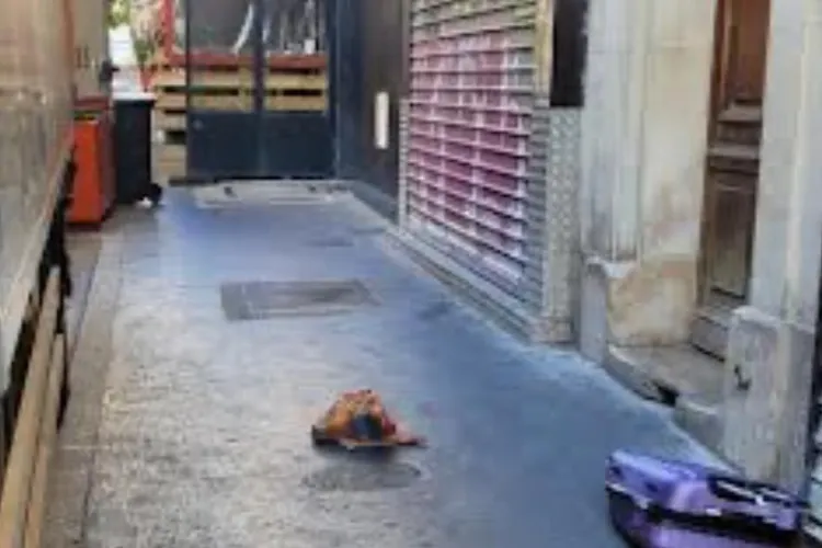 Moschei din Paris profanate, descoperiri șocante (sursa: X/Oumma.com)