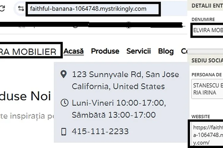 Firmă nouă, contracte publice de aproape 360.000 de lei: are sediul în Neamț, dar afișează pe site o adresă din California