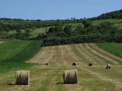 Kafka este birocrat al statului român (sursa: ziaruldeiasi.ro)